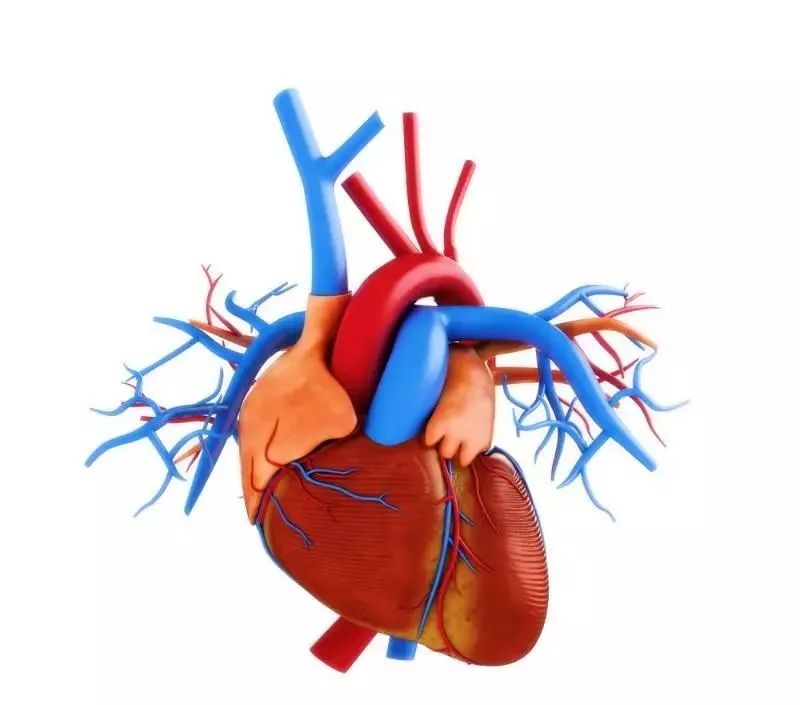今天,我们将通过两个医案来了解一下心脏疾病中的一种——急性心肌