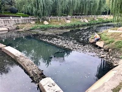 河道污泥淤积,散发臭味!"摘帽"两年,青岛这条河再现脏水丨10.