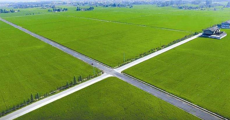 2019年高标准农田建设解读