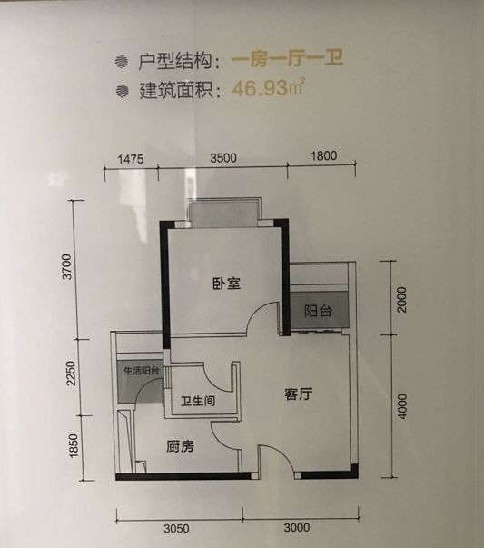 抢疯了6小时热销超300套火爆直击御城金湾开盘现场