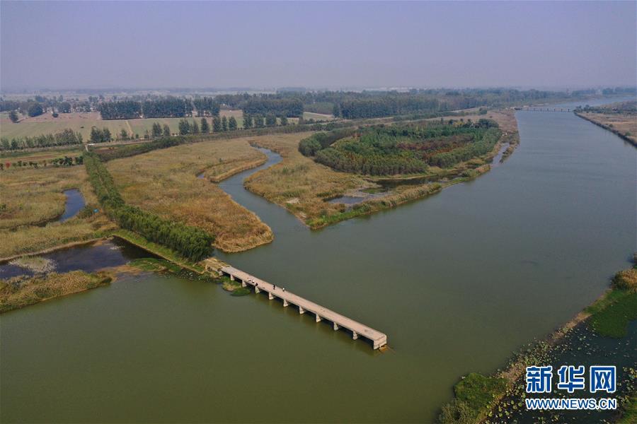 江蘇徐州:黃河故道變身溼地公園