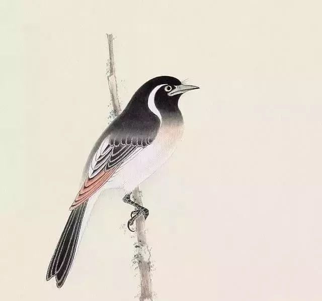 工笔画的几种特殊技法