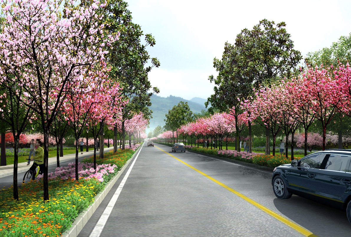 【素材】街道景观效果:明明看上去都差不多,凭什么我不过?