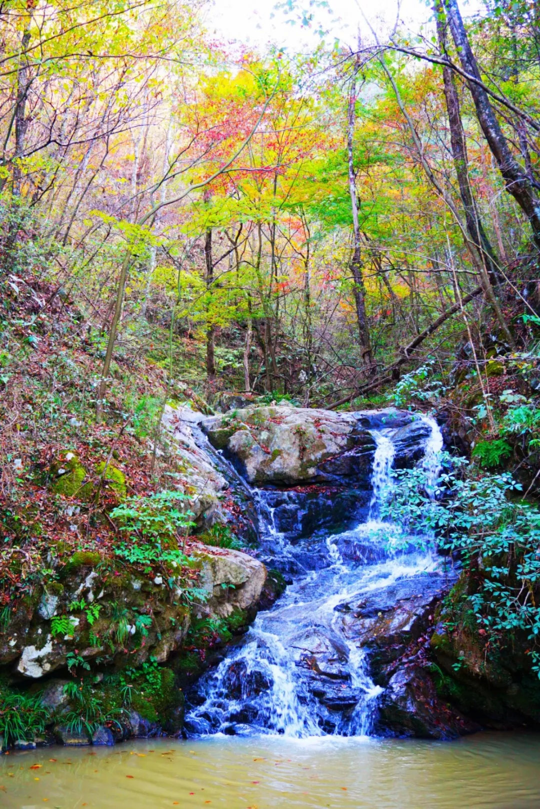 赏金秋红叶玩丛林野趣英山桃花冲风景区等你来