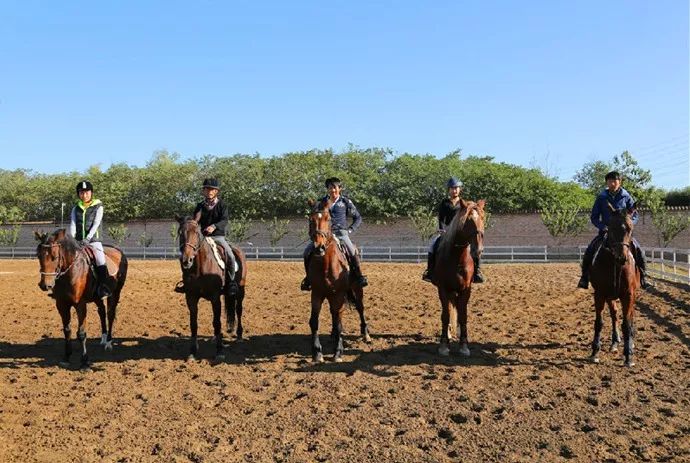 99元马术俱乐部体验课骑士嘉豪月河湾
