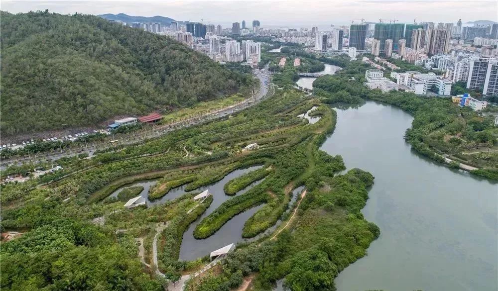 快来打卡全免费三亚这些道路公园一步一景