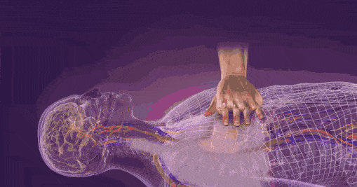 509_267gif 动态图 动图