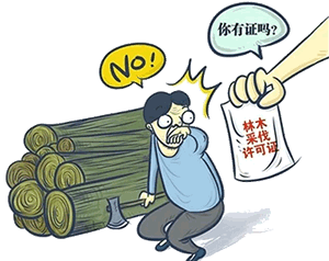 滥伐林木罪,是指违反森林法的规定,未经有关部门批准并核发采伐许可证