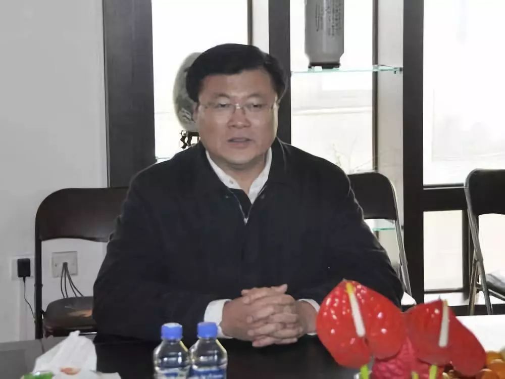 染黑的权力丹东市原副市长刘胜军案警示