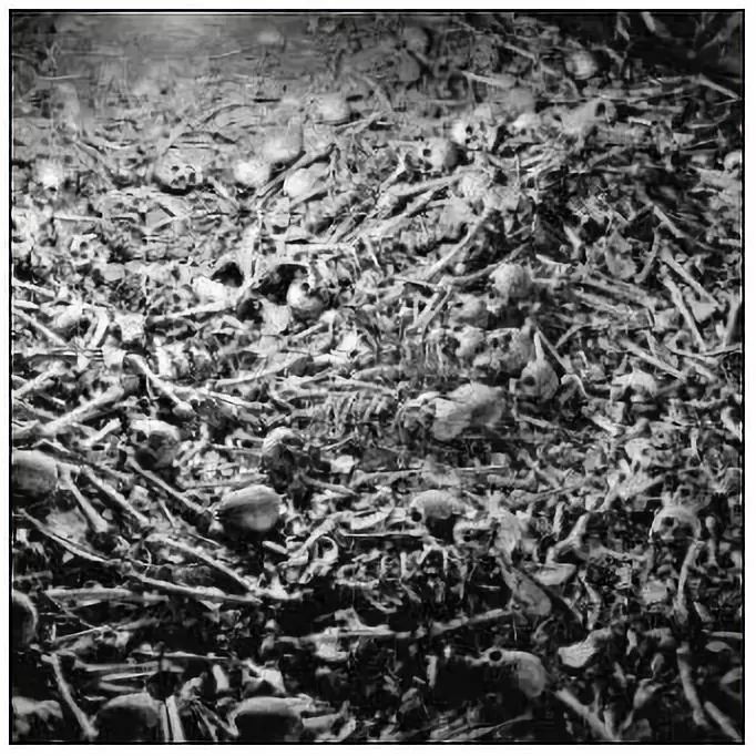 抚顺,海拉尔……一个个万人坑中的枯骨,一个个无辜的人被抛尸荒野.