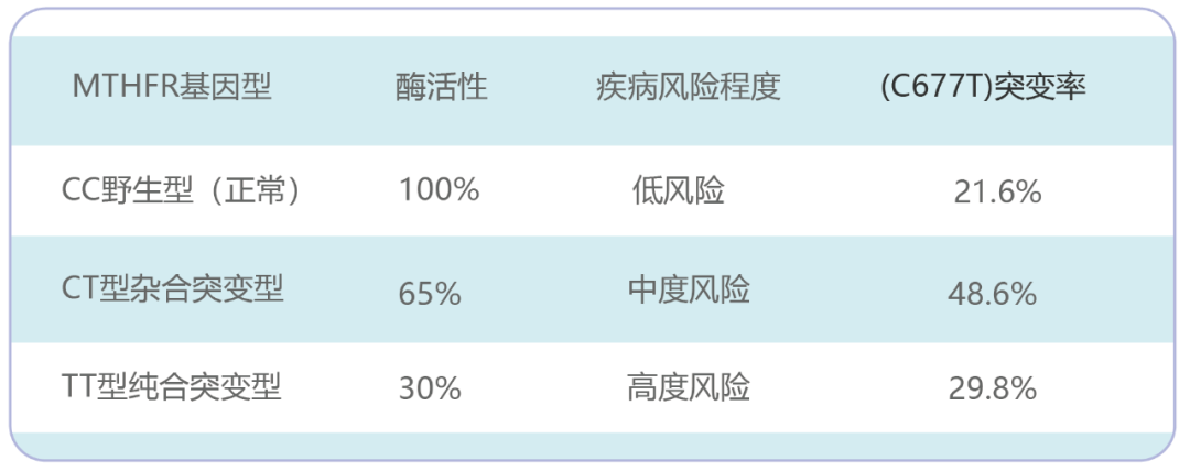 叶酸cccttt对照表图片