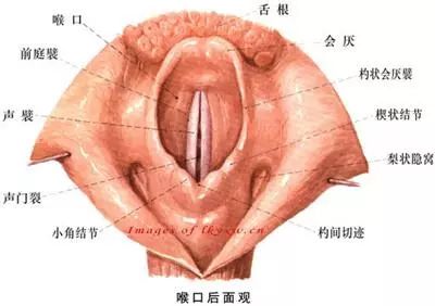 声带裂了图片