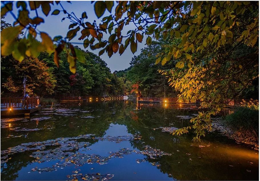 碧水藍天,湖光山色森林氧吧,紅黃藍綠,就像一幅油畫雞角曼上,黛色山巒