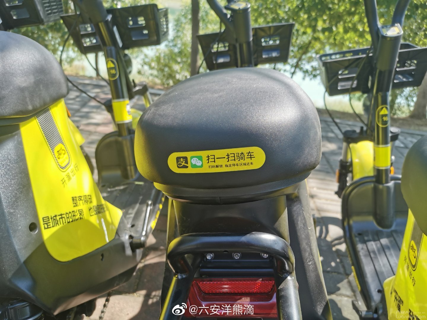 月亮岛又添"开溜"共享电动车!