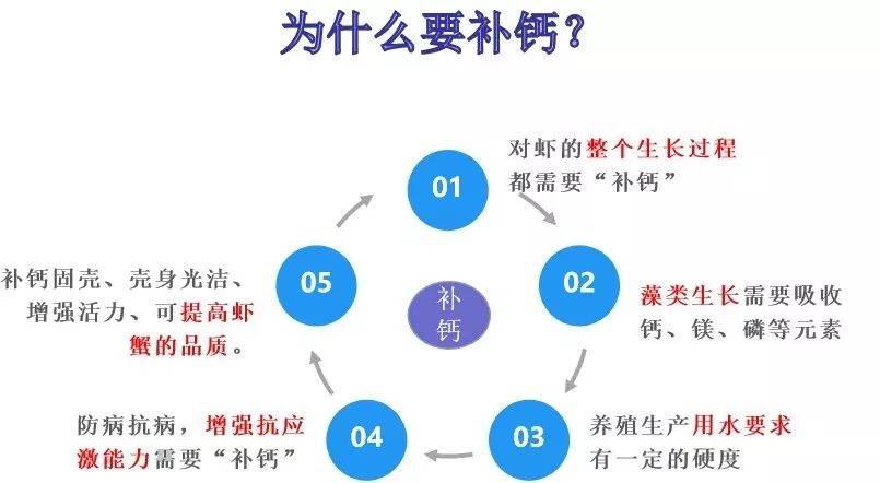 【南山生物科技】南美白对虾补钙专题—补钙就找南山金甸!