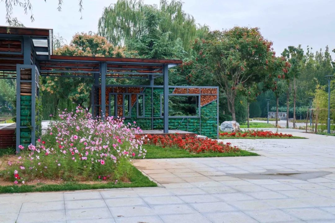 海淀这个郊野公园扩容坐拥湿地美景还免费