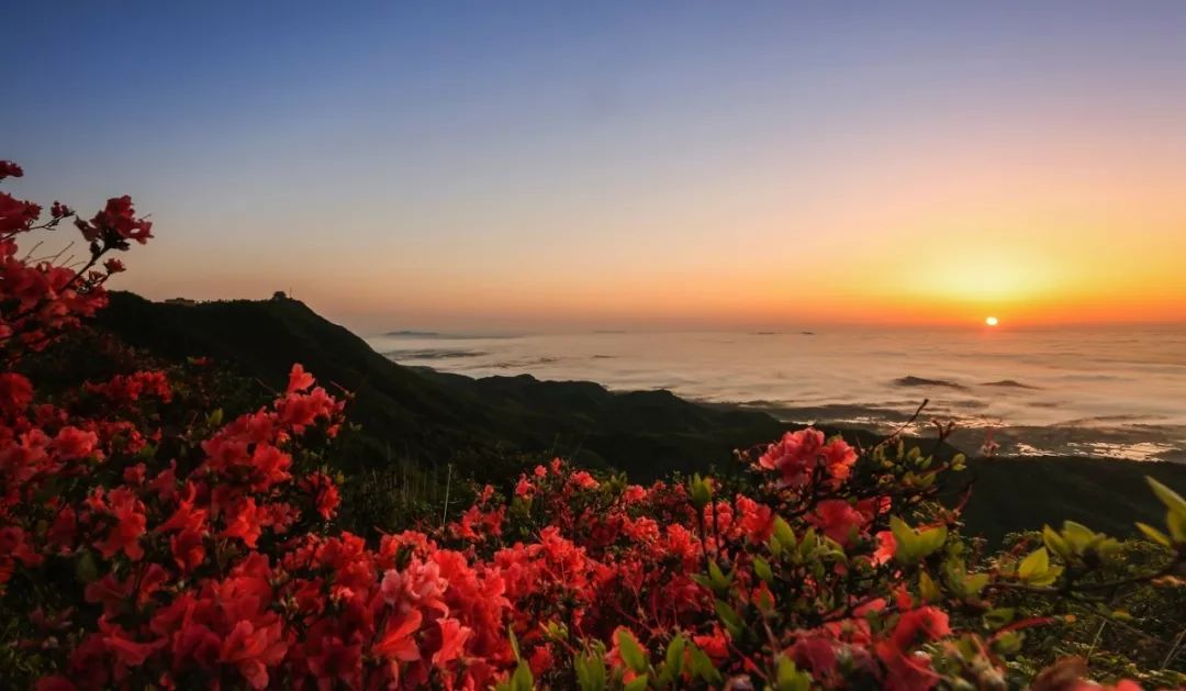 这就是湖南美得让人心醉