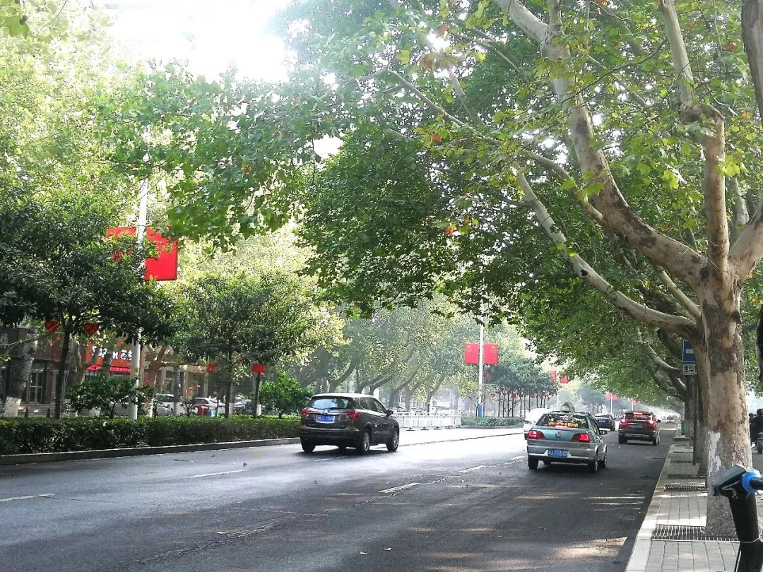 濮阳这6条网红路太火了你肯定去过