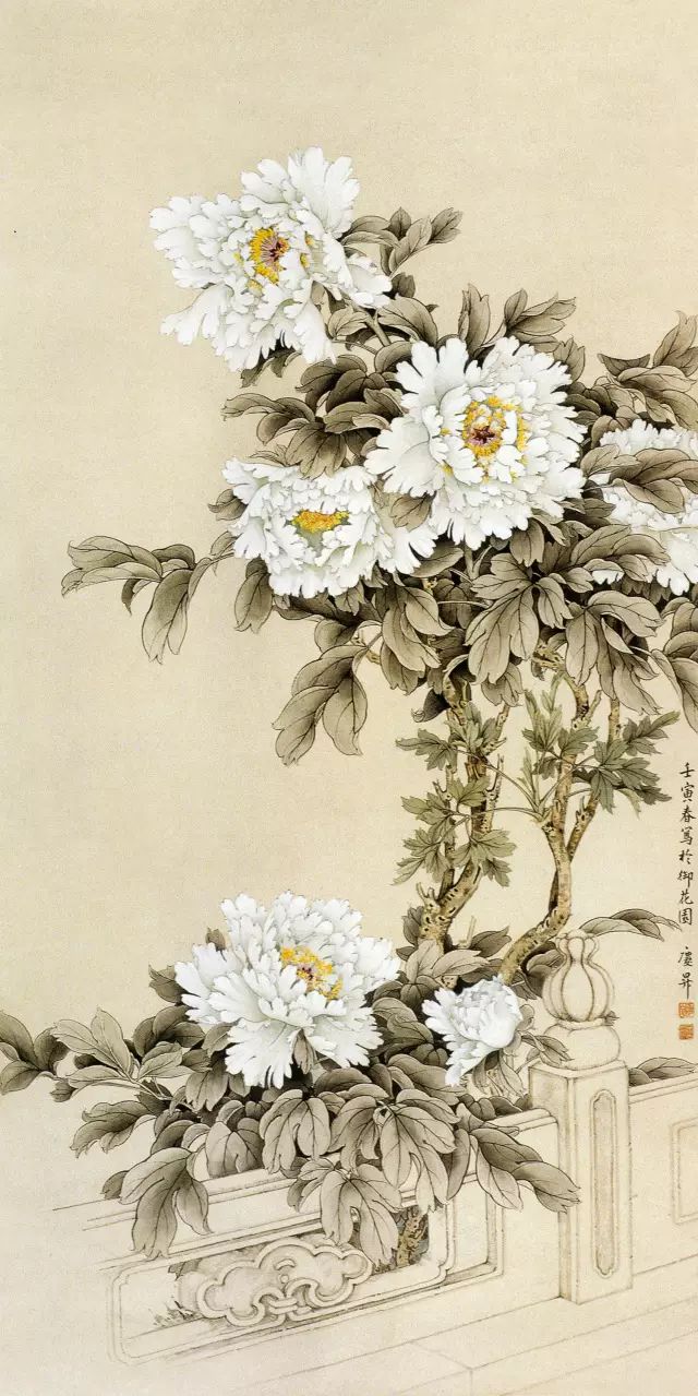 光色艳发妙穷毫厘八位工笔名家的牡丹作品精选你更喜欢谁