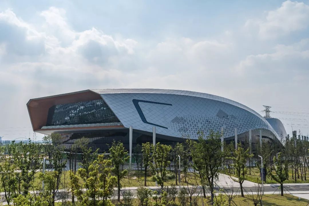 宁波奥体中心篮球场图片