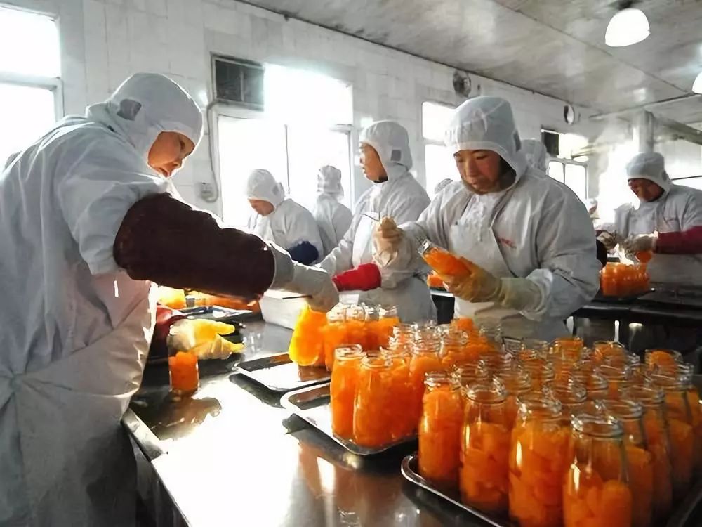 农民专业合作社,股份合作社以及专业大户,家庭农场等各类农业经营主体