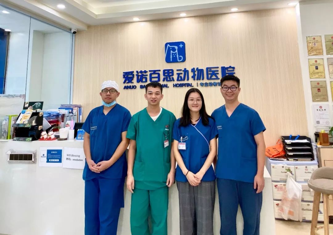 映希异地学习第160期广州爱诺百思动物医院之行顺利结束