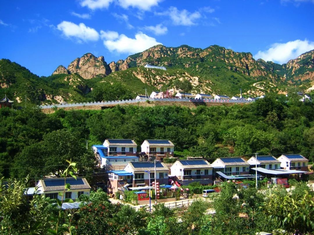 北大口腔医院、门头沟区黄牛票贩子号贩子联系电话的简单介绍