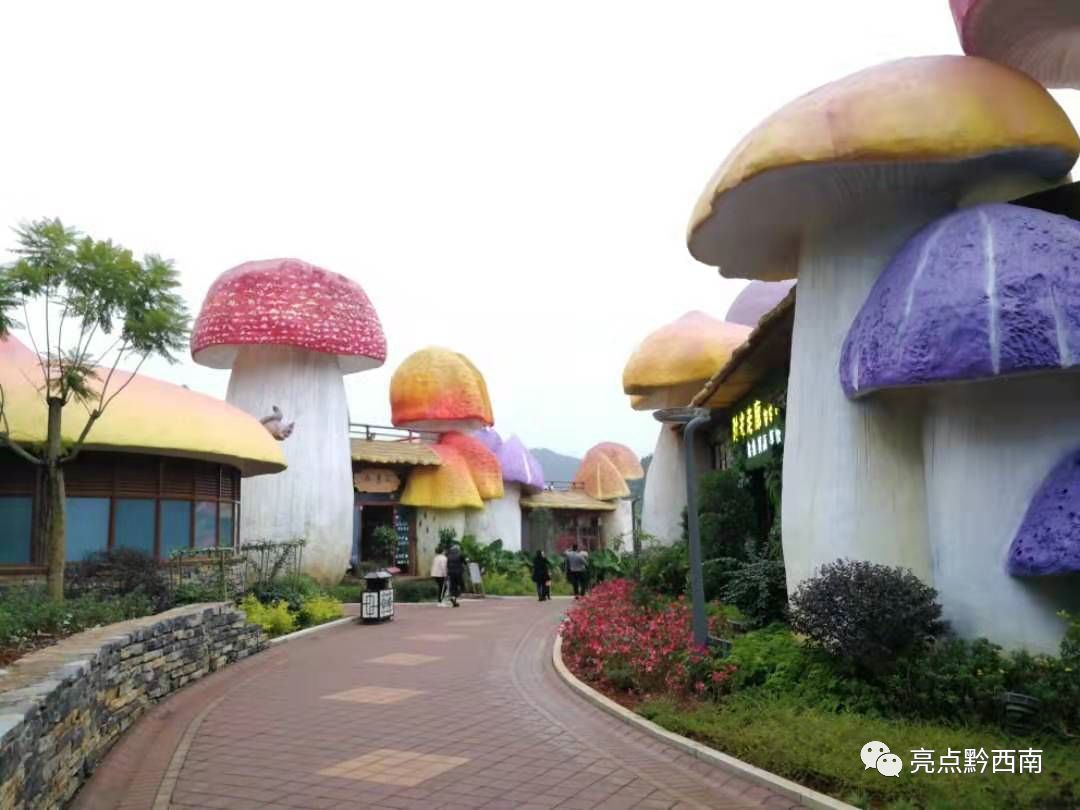 航拍贵州兴义蘑菇房太梦幻了