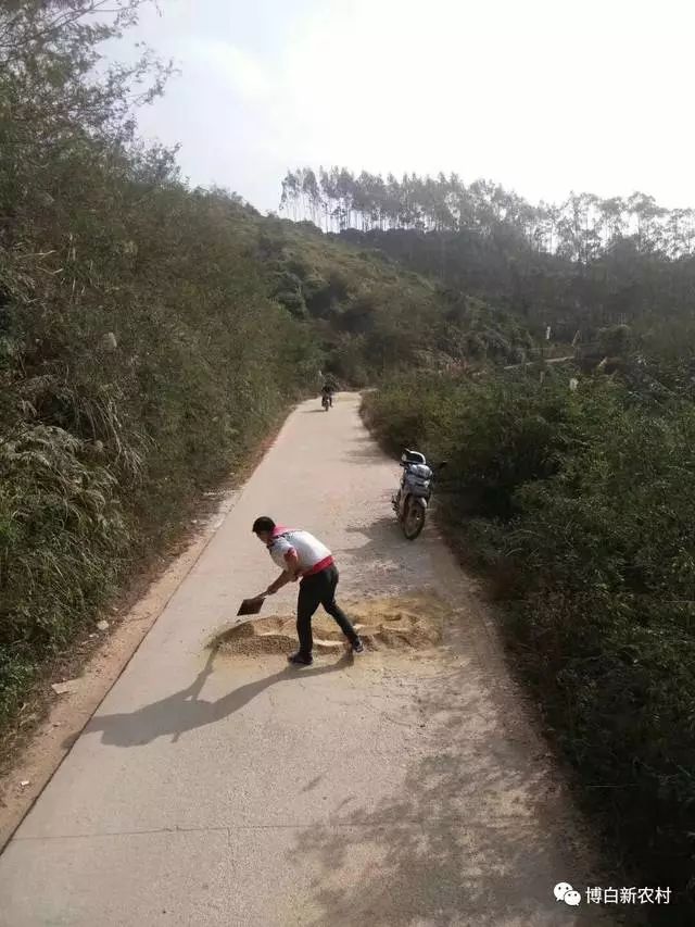 博白沙陂荣飘村村民自发修路 引发路人称赞