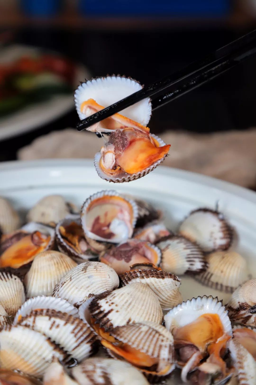 天津这家藏在居民区里的海鲜馆太鲜了清江鱼生蚝花蛤马蛤人均20元吃到