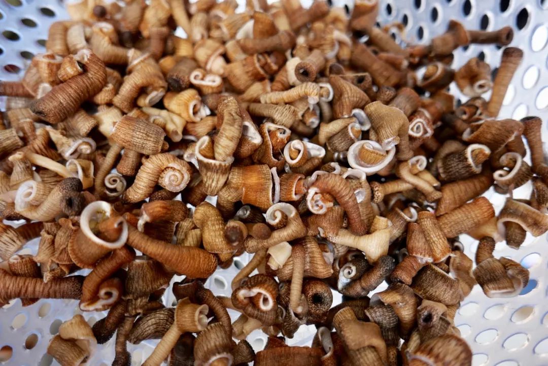 广西北海被严重低估的美食之城