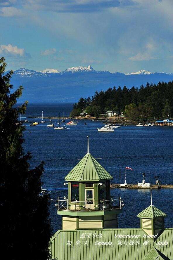 海边的郁金香·温哥华岛自驾5日游(概述篇含路书)_bay