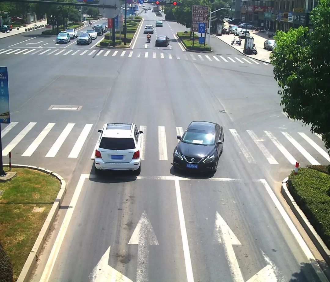 新昌这些司机注意逆行一时爽罚款透心凉