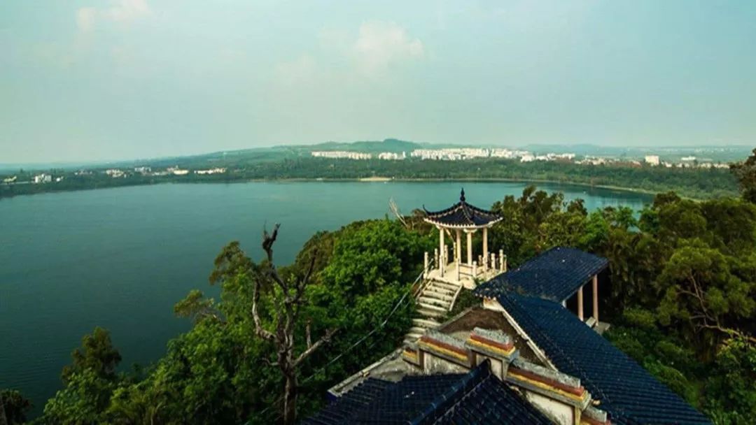 湛江市a股上市公司明细_广东省