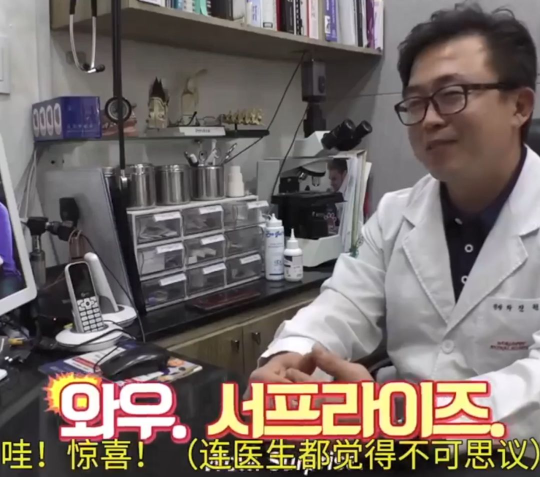 但马尔哈们刚满月时,体型就比粑粑的大了~马尔哈刚出生时,长得很像