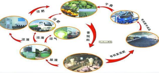 4 環保法規與農業政策畜禽糞汙資源化利用行動方案(2017—2020年)