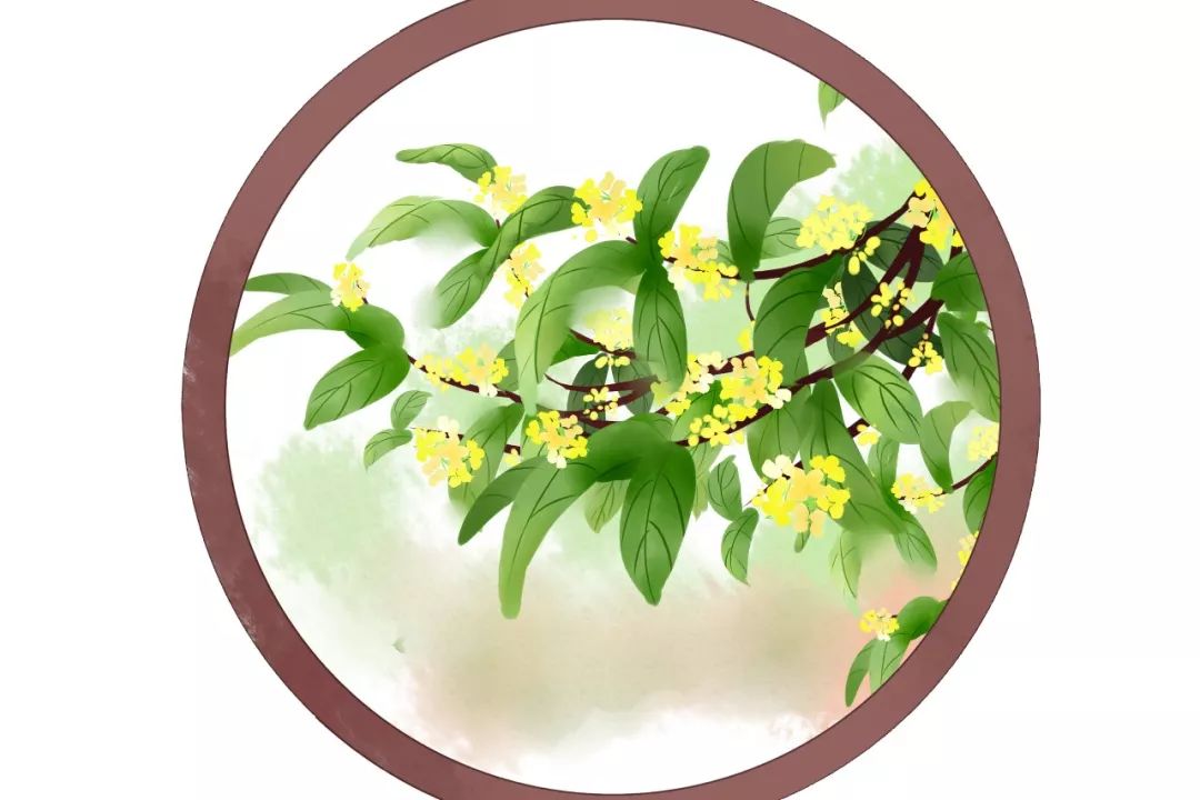 诗词中的桂花,香满了整个秋天_李清照