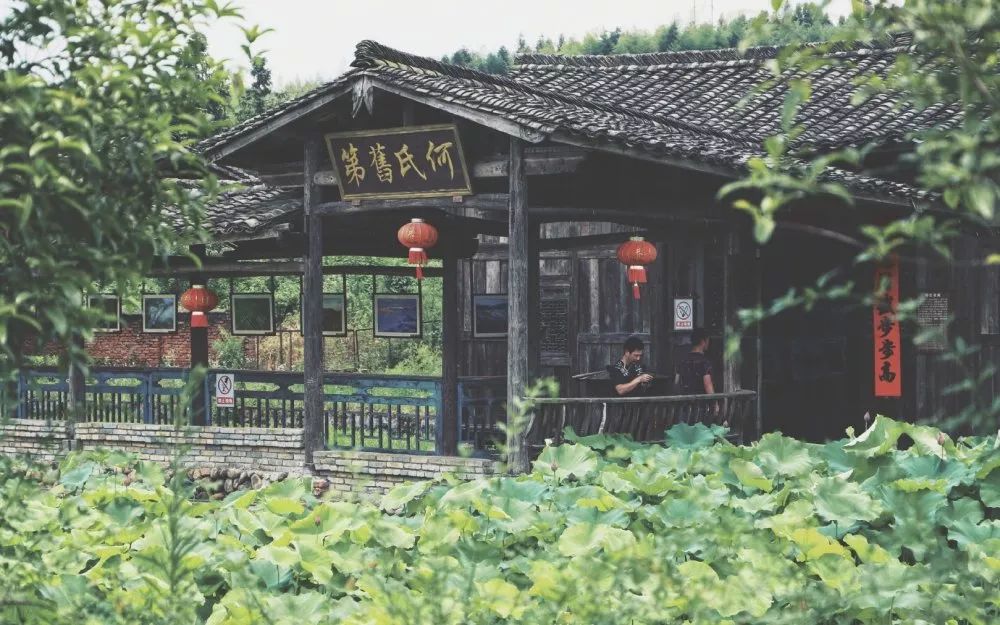 旅发会这场属于农民的鸿建杯运动会热力来袭你准备好了吗