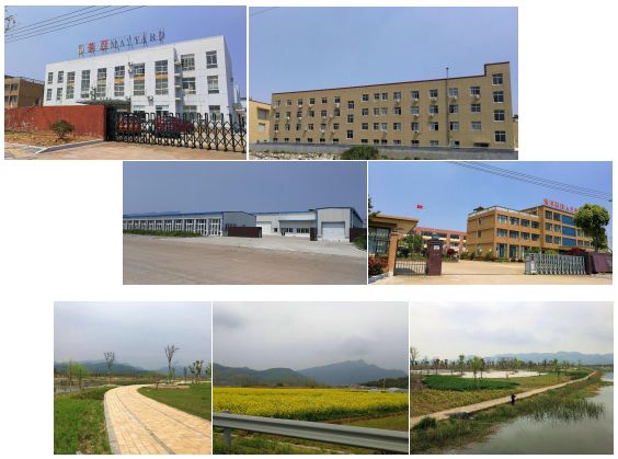 象山打造中心城区东北部副中心,这简直就是另外一个丹城_城东工业园
