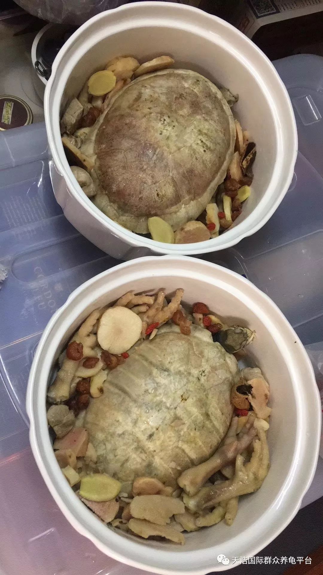 8亿造胶厂正在建造中,石金钱终端消耗上升指日可待