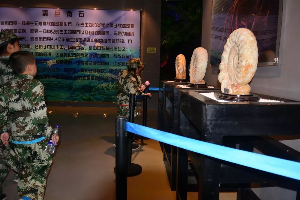 博物馆研学记——连城县城关二小四年级研学教育实践活动