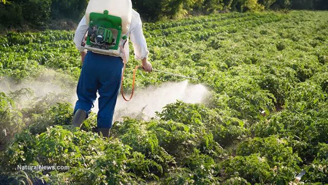 每年农药用量180万吨中国蔬菜满是化肥农药你还敢吃吗