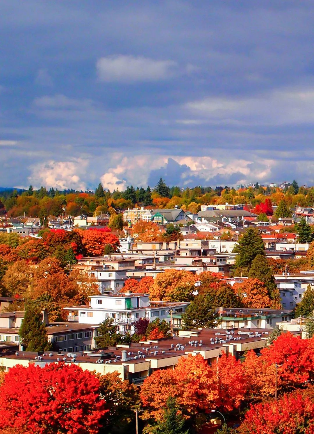 奇景加拿大冰火盛宴全球最美不接受反驳