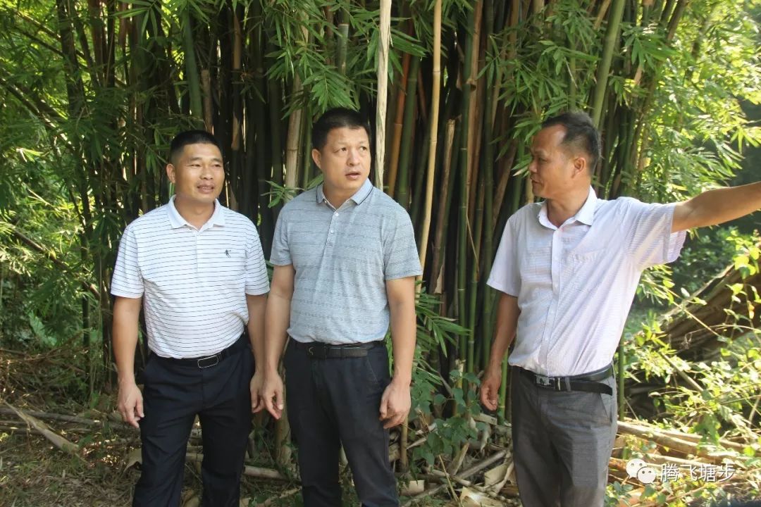 藤县塘步镇"三清三拆"稳步推进