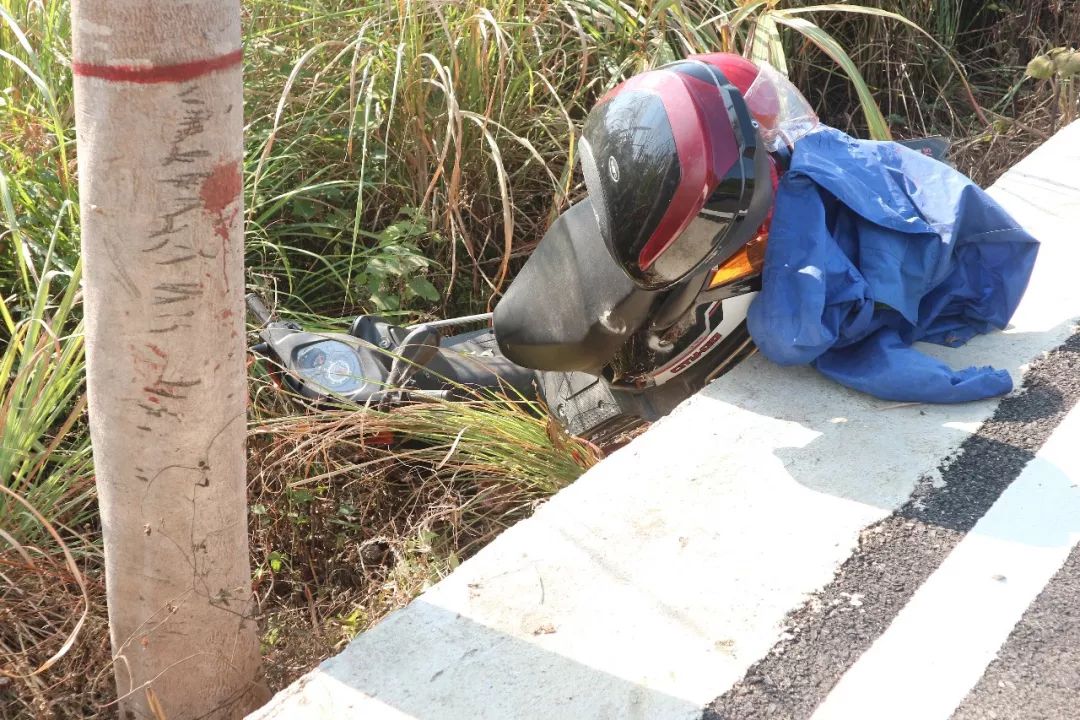 遂川一女司机操作不当把车撞到了树上,致自己头部受伤!所幸