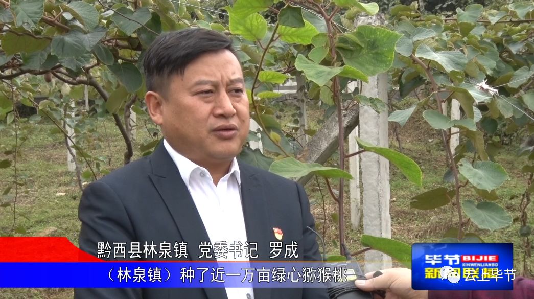 看黔西县如何巩固脱贫攻坚成果_林泉镇