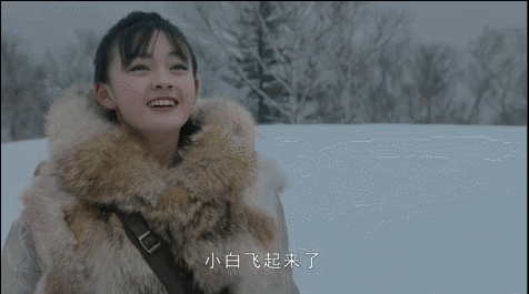 文淇的角色都有些复杂,而到了《天坑鹰猎》中,文淇终于回归了一个有些