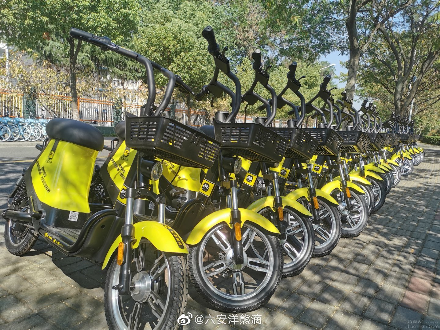 月亮岛又添"开溜"共享电动车!