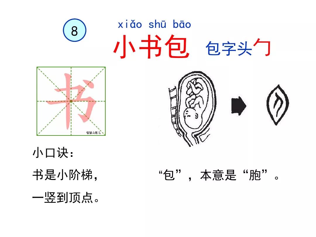 部编版一年级语文上册识字8小书包知识点图文解读给孩子收藏