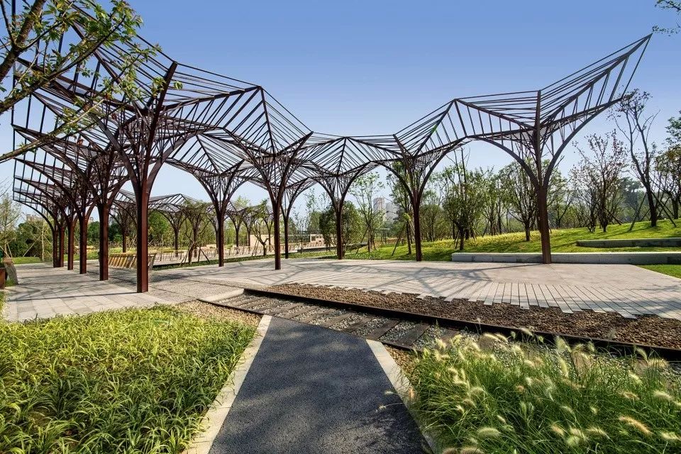 公园绿地成都沙河源公园景观设计将储木场升华为木文化主题城市绿廊